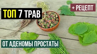 Самые надёжные лечебные травы от аденомы простаты и рецепт