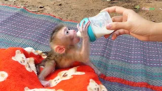 Look So Adorable!! Pruno Get Milk & Relaxing Outside