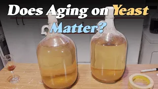 Does Aging on Dead Yeast Matter? A Reflective Test for Homebrewers