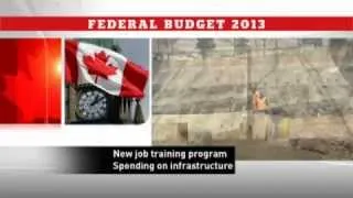 2013 budget unveiled - The National