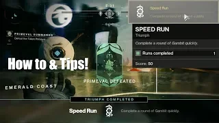 Gambit Speed Run Triumph | Destiny 2 | Private Games Triumph Guide