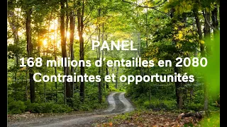 Panel - 168 millions entailles