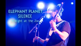 silence [LIVE] | elephant planet