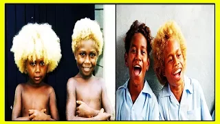 Каждый Десятый - Блондин Среди Темнокожих Жителей Соломоновых Островов! Как Такое Возможно?