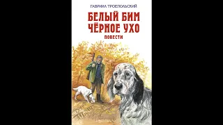 БЕЛЫЙ БИМ ЧЁРНОЕ УХО. Гавриил Троепольский  аудиосказки для детей, слушать сказки