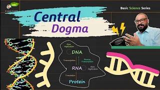 Central dogma of molecular biology | Biochemistry | Molecular Biology | Basic Science Series