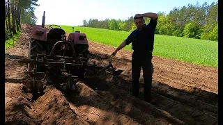 Rozerwałem Obsypnik☆Dziki Zniszczyły Ziemniaki i Żyto☆