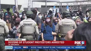 Pro-Palestinian protestors arrested in San Diego and across the country