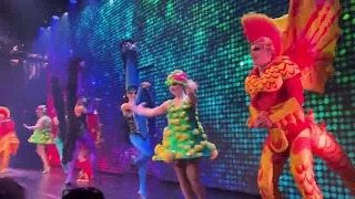 Priscilla The Party Finale:  A Spectacular End to the Party Saga!