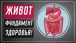 Основа любого здоровья | Дмитрий Лапшинов