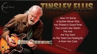 TINSLEY ELLIS some of my favorites songs .. touch heart GR