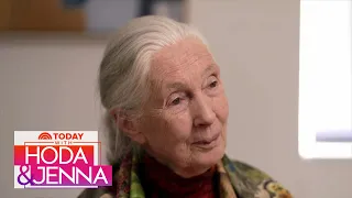 Dr. Jane Goodall opens up to Hoda and Jenna on legendary career