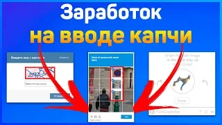 Сколько можно заработать на вводе капчи за деньги?