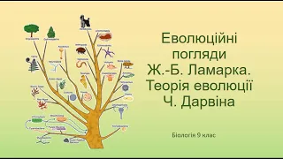 Біологія 9 клас. Еволюційні погляди Ж.Б. Ламарка. Теорія еволюції Ч. Дарвина