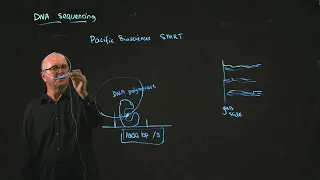 Pacific Biosciences Sequencing