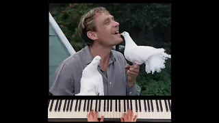 "Любовь и голуби " / "Love and Doves" - В.Левашов #pianomusic #любовьиголуби #piano #пианино
