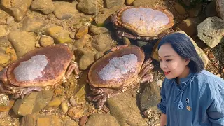 [ENG SUB] Xiao Zhang rushed to the sea and found three oversized bread crabs  each weighing two or