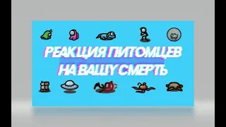 РЕАКЦИЯ ПИТОМЦЕВ НА ВАШУ СМЕРТЬ Among US  pet reaction to your death Among US