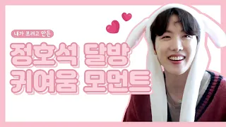 [방탄소년단/제이홉] 내가 보려고 만든 정호석 달방 귀여움 모음♥