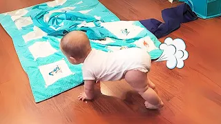 Try Not To Laugh Challenge - Funny Baby Fart Videos Compilation