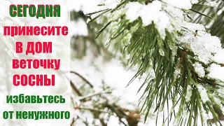 13 марта - Васильев День, КАПЕЛЬНИК. Что нужно сделать сегодня: народные приметы по погоде