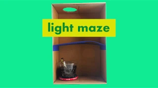 Make Your Own Fun Light Maze For Plants