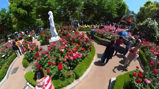 중랑장미축제 #seoul #korea #rose #fastival #travel