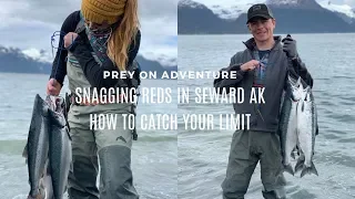 Snagging Reds in Seward Alaska - How to Catch your Limit!