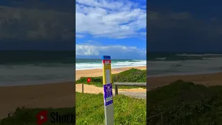 🏄 Shelly Beach Central Coast NSW   Surf's Up  #shorts 🌊 04/02/2022