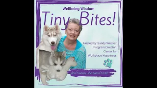 Can You Choose Satisfaction? - Wellbeing Wisdom Tiny Bites Podcast