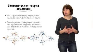 Эволюция - 3. Синтетическая теория эволюции - часть 2. 10 - 11 класс