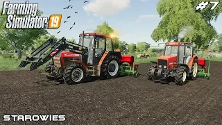 Disc cultivating & planting corn | Starowies | Farming Simulator 2019 | Episode 7