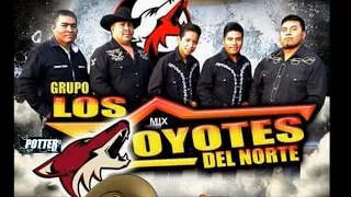 MIX COYOTES DEL NORTE