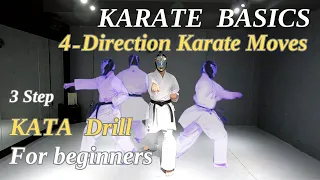 4-Direction Karate Moves for beginners | Traditional karate training at home / Explained in detail