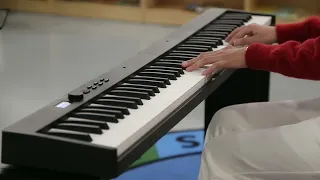 PJ88C foldable piano 88 keys