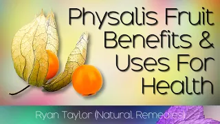 Physalis Fruit: Benefits and Uses (Cape Gooseberry)