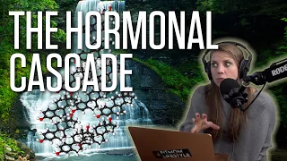 The Hormonal Cascade | The Food Code | Ep. 453