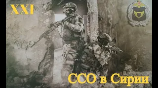 ССО РФ в Сирии | Special Operations Forces of Russia in Syria