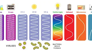 Ultraviolet (UV) Can Kill Bacteria & Viruses – Learn The Basics