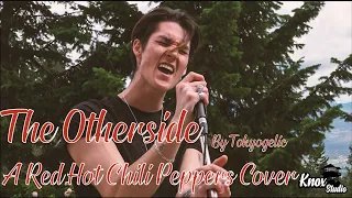 Vol 1 TBT Tokyogelic- The Otherside (Cover)