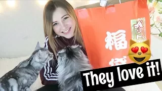 JAPANESE LUCKY BAG FOR CATS