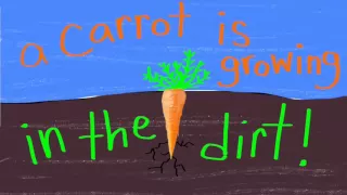 Life of a Carrot