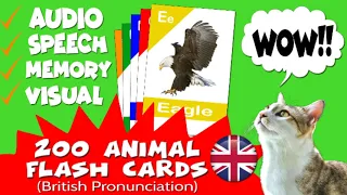 Names and Pictures of 200 Animal Flash Cards in British English for Adult & Kids #mowmowedutainment