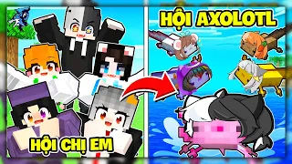 Minecraft Nhưng Bạn Là Axolotl | Siro Bị Sammy và Mèo Simmy Đấm Không Trượt Phát Nào