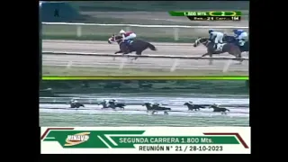 Clásico "Arturo Michelena" | Pintada  | Hipódromo Nacional de Valencia | Reunión 21 | 2023