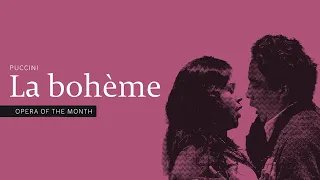 La bohème |  Opera of the Month