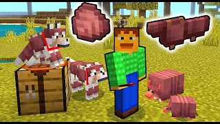 How Bad is Armadillo & Dog Armor? 1.21 Minecraft