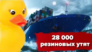 Мусорные острова и резиновые утята