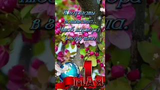 С 1 мая! С праздником весны, труда и мира!⚘️⚘️⚘️