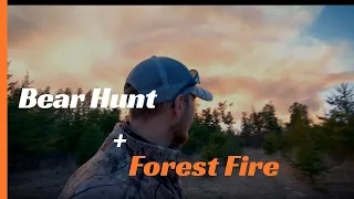 Forest fire traps us in bear hunting, Part 1 (Face to face bear encounter)